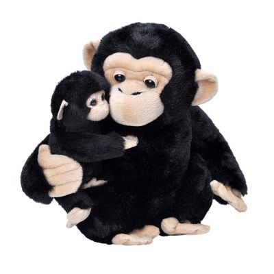 Mama si puiul - cimpanzeu wr24091