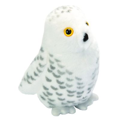Pasare cu sunet bufnita de zapada - snowy owl wr19597