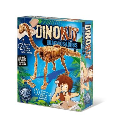 Paleontologie - Dino Kit - Brachiosaurus - BK439BRA